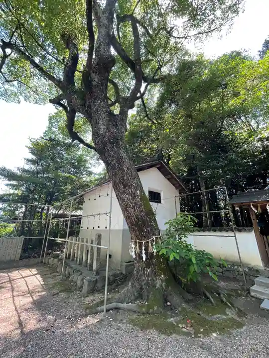 佐備神社の自然