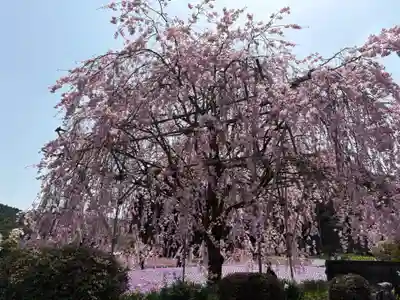 永澤寺(兵庫県)