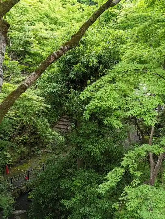 清水寺(京都府)