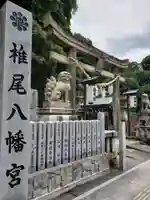 椎尾八幡宮(山口県)