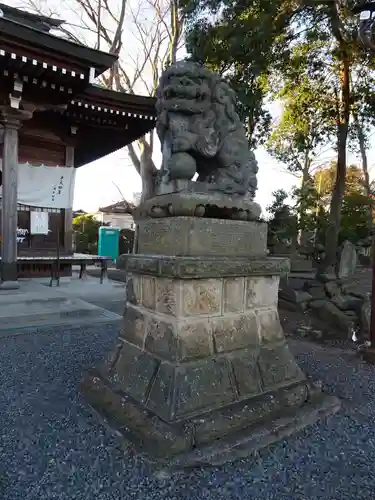 熊野福藏神社の狛犬