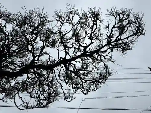 西方山極楽寺(岐阜県)