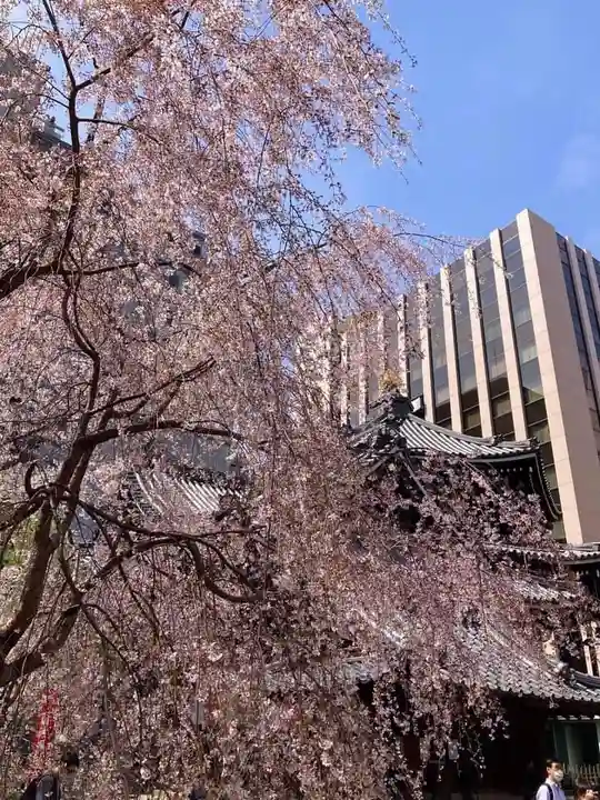頂法寺(六角堂)(京都府)