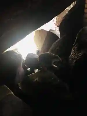 磐船神社(大阪府)