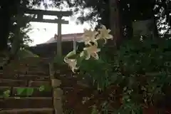 鬼渡神社の鳥居