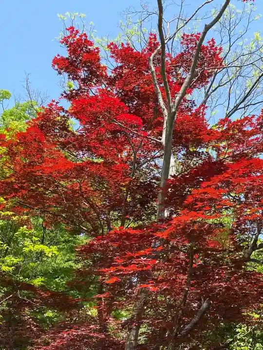 善光寺(長野県)