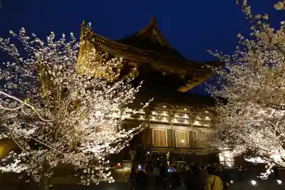 東寺（教王護国寺）(京都府)