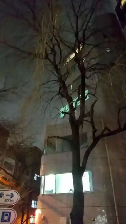 靖國神社の自然