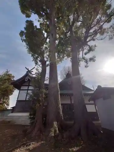 小動神社(神奈川県)