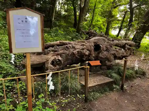 泉神社(茨城県)