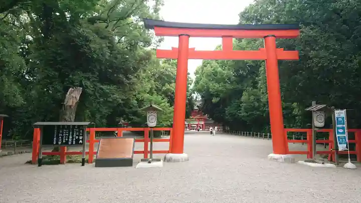 賀茂御祖神社(下鴨神社)の鳥居