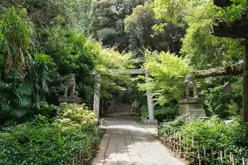 赤坂氷川神社(東京都)