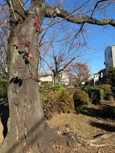 稲荷神社(東京都)