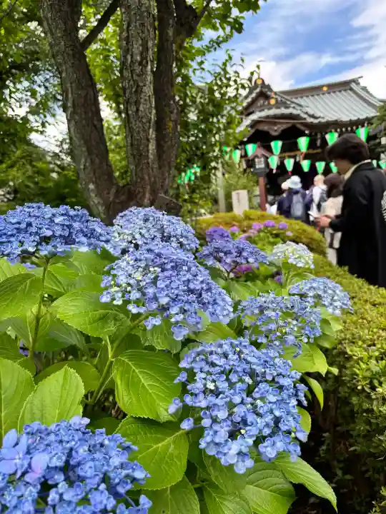 白山神社(東京都)