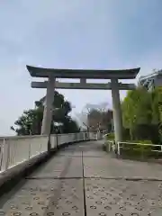 赤羽八幡神社の鳥居