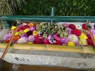 伊和志津神社(兵庫県)