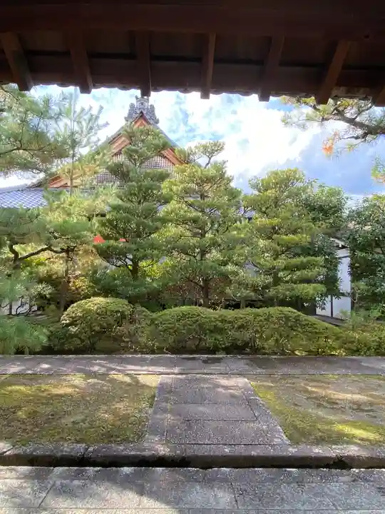 妙心寺(妙心禅寺)(京都府)