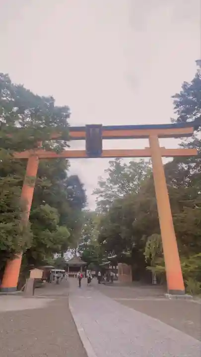 川越氷川神社(埼玉県)