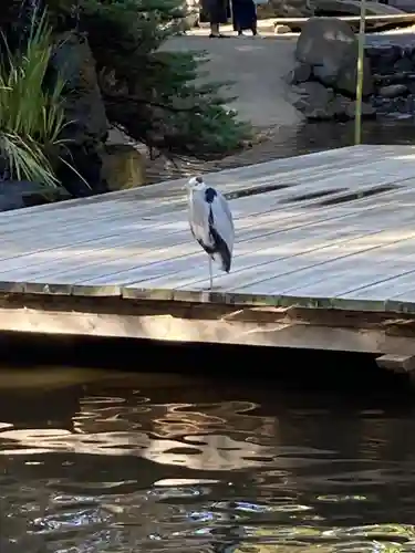 平塚八幡宮(神奈川県)