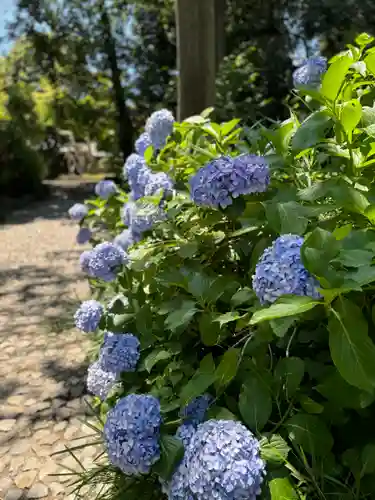 武蔵一宮氷川神社の庭園