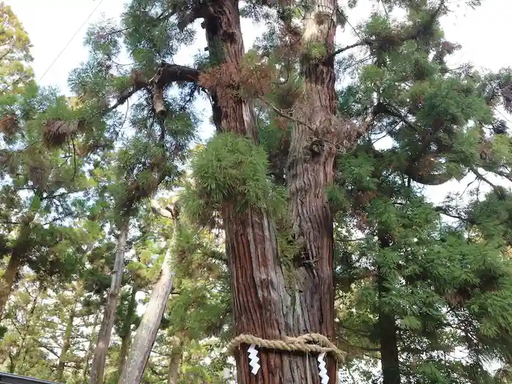 大神神社(奈良県)