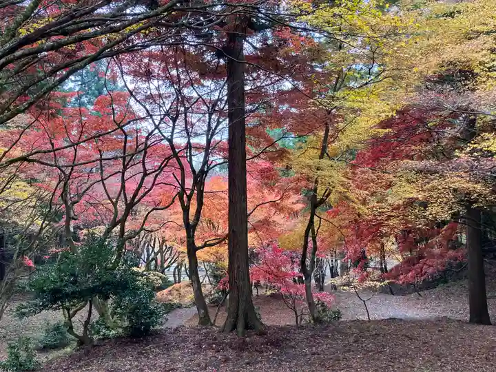 鶏足寺(滋賀県)