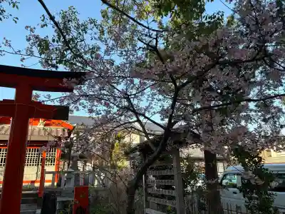 御陣屋稲荷神社の{uncategorized: "未分類", other: "その他", undefined: "問題あり", building: "その他建物", grave: "お墓", sacred_gate: "鳥居", guardian: "狛犬", statue: "像", buddha: "仏像", history: "歴史", nature: "自然", garden: "庭園", animal: "動物", pagoda: "塔", temizu: "手水舎", mountain_gate: "山門・神門", sanctuary: "本殿・本堂", subordinate: "末社・摂社", art: "芸術", scenery: "景色", jizo: "地蔵", ema: "絵馬", goshuin: "御朱印", omikuji: "おみくじ", items: "授与品その他", amulet: "お守り", goshuincho: "御朱印帳", eats: "食事", festival: "お祭り", votive_dance: "神楽", shichigosan: "七五三参", wedding: "結婚式", experience: "体験その他", initially: "初詣", around: "周辺", anti_infection: "感染症対策"}