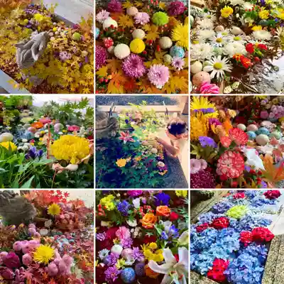滑川神社 - 仕事と子どもの守り神の手水舎