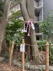 伊和志津神社の自然