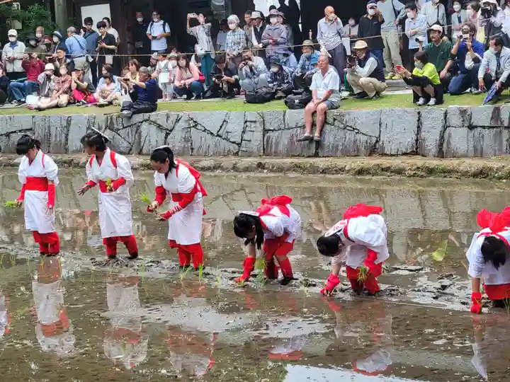 大山祇神社(愛媛県)