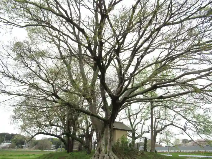 神明神社(千葉県)