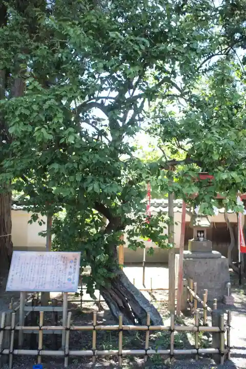 弘道館鹿島神社のその他建物