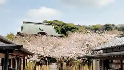 建長寺(神奈川県)