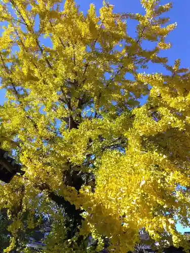 稲荷神社(福井県)