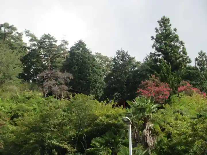 正福寺別当米山薬師堂(埼玉県)