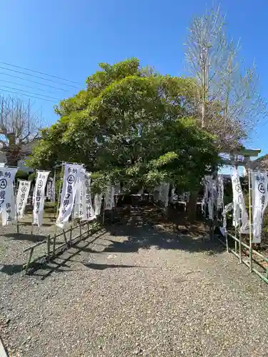 龍口明神社の自然