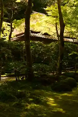 祇王寺(京都府)