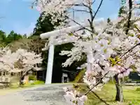 土津神社|こどもと出世の神さまの鳥居
