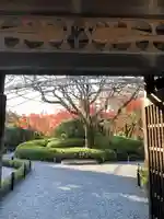退蔵院の山門・神門