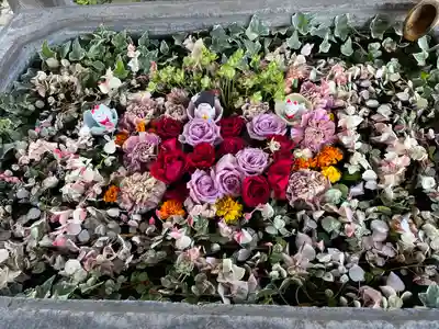 於菊稲荷神社(群馬県)