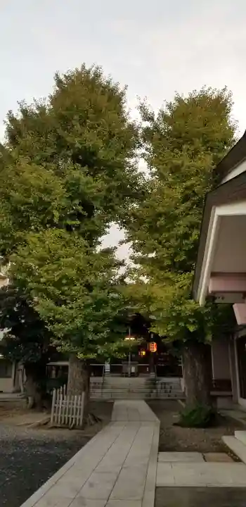 青砥神社のその他建物