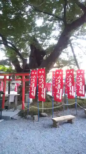 秩父今宮神社の自然