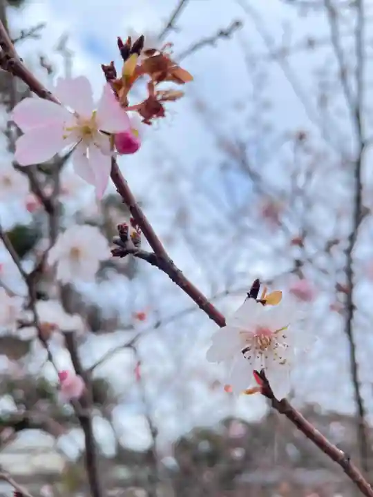 寛永寺不忍池弁天堂(東京都)