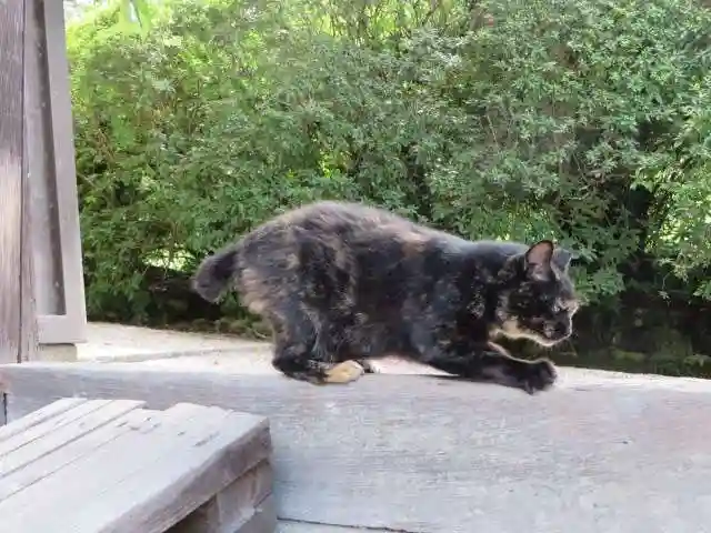 長岳寺(奈良県)