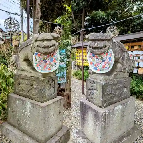 菊田神社の狛犬