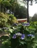 三室戸寺の自然