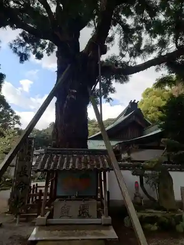 極楽寺(徳島県)