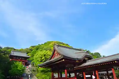 鶴岡八幡宮(神奈川県)