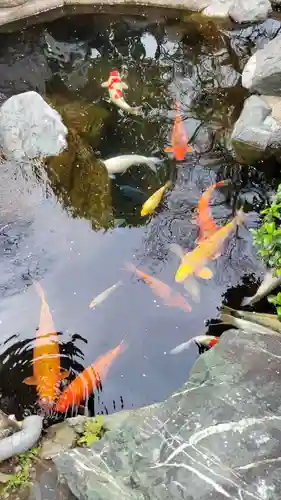 尾張猿田彦神社(愛知県)