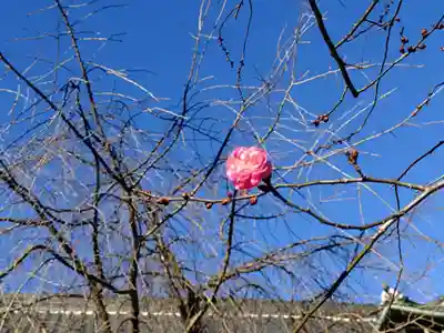 大國魂神社(東京都)